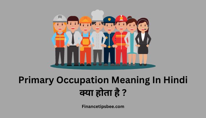 Primary Occupation Meaning In Hindi क्या होता है ?
