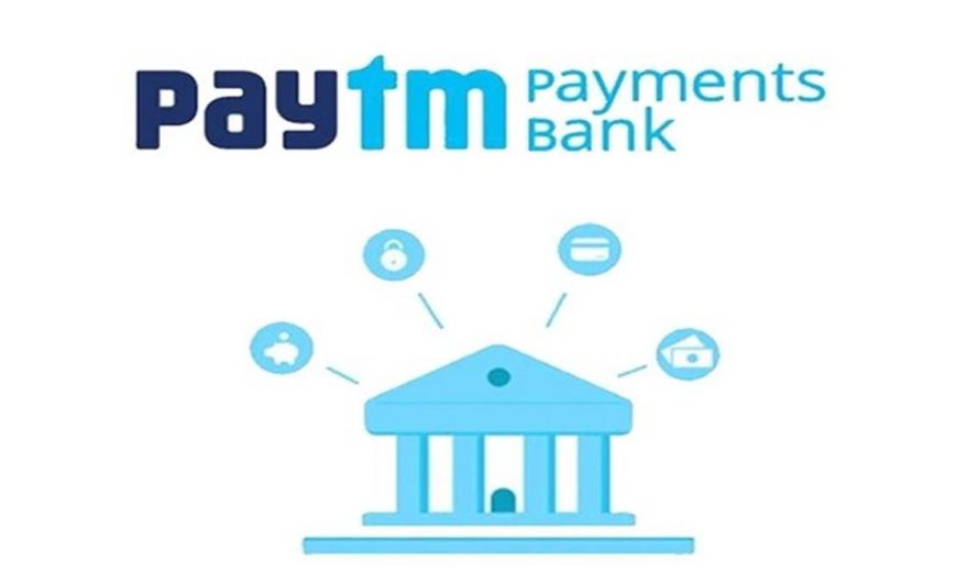 Paytm Business Login: Secure Login and Money Transfer Merchant Business