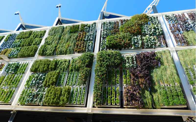 Urban Farming and Vertical Gardens